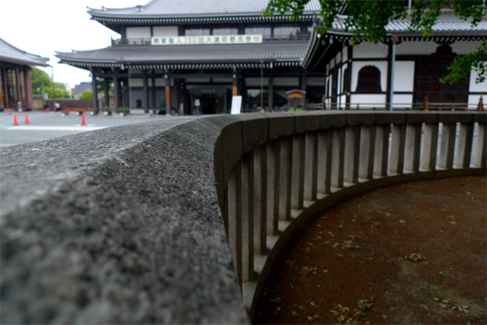 本願寺のイチョウまわり 本願寺のイチョウまわり