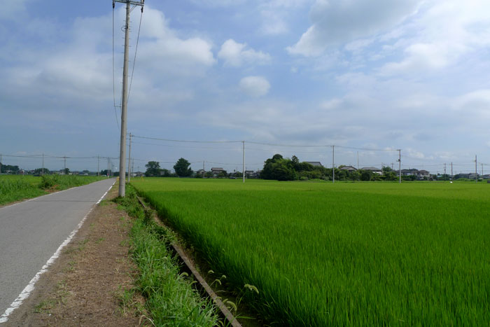 埼玉の風景