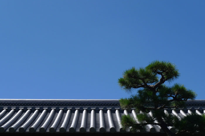 快晴の昼休み 快晴の昼休み