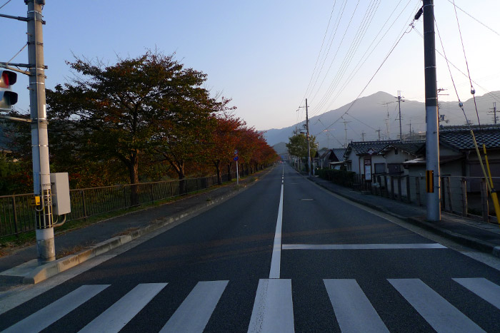 いつもの道の紅葉 いつもの道の紅葉