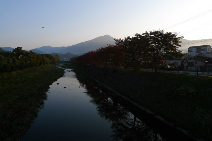 いつもの道の紅葉 いつもの道の紅葉