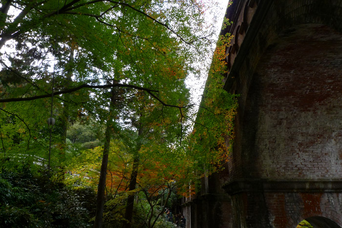 先週の南禅寺