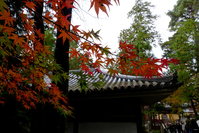 先週の南禅寺