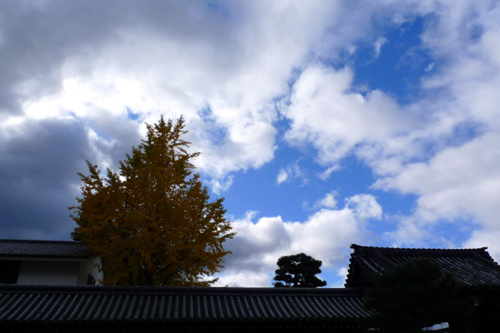 衝撃の朝の空 衝撃の朝の空