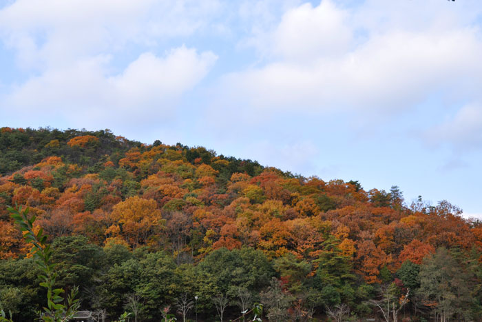 カラフルな山