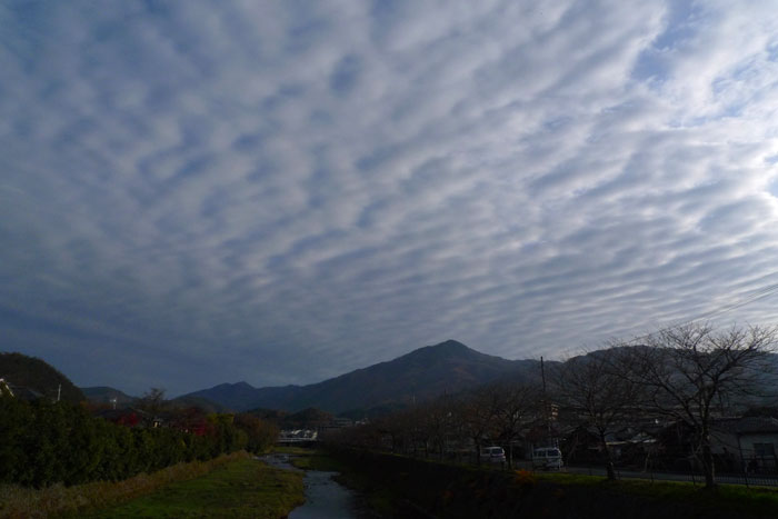 ウロコ