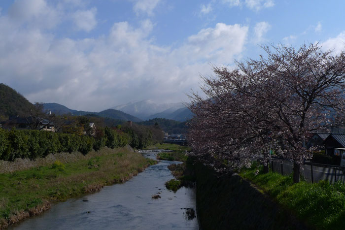 開花前