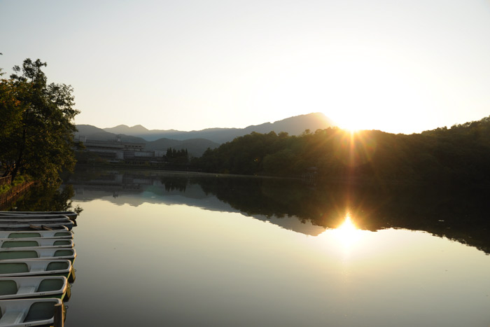 宝ケ池公園の日の出