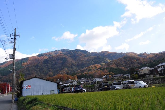 八瀬へ 八瀬へ