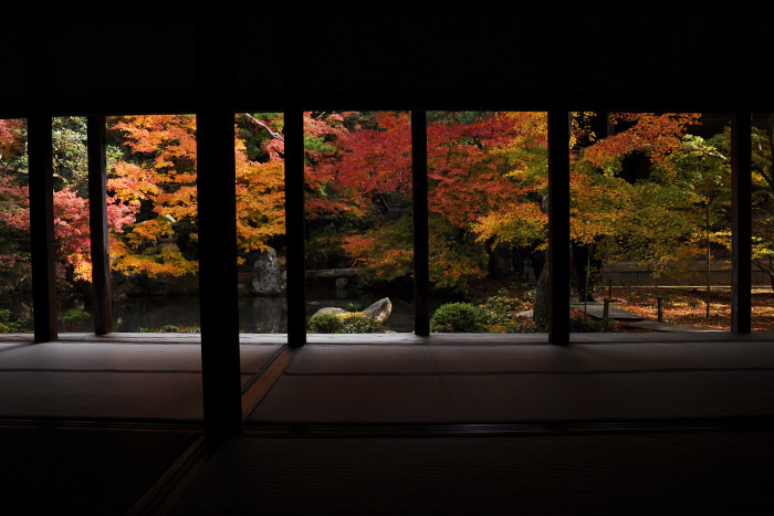 紅葉の蓮華寺 紅葉の蓮華寺