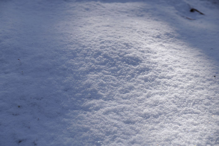 残された雪