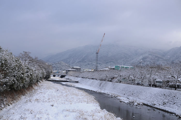 今日の高野川