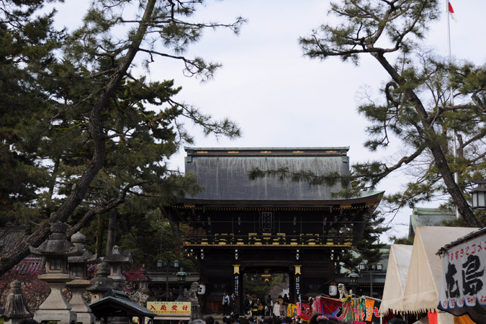 北野天満宮の梅