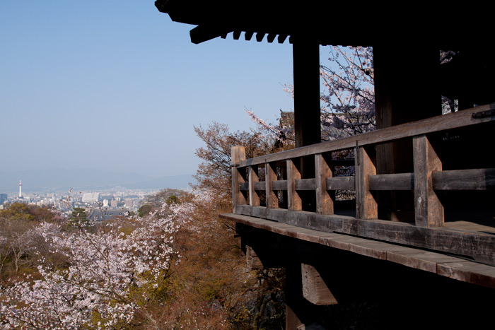 桜と朝日の清水寺
