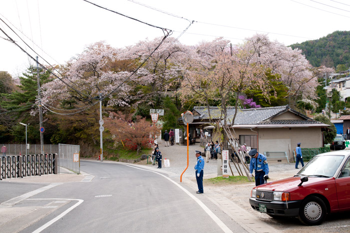 原谷苑