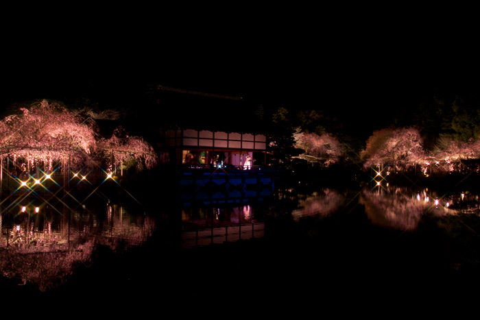 平安神宮 紅しだれコンサート2011