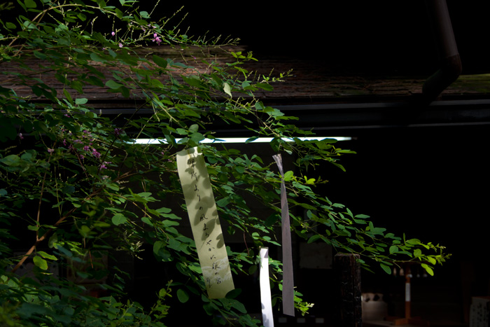 梨木神社