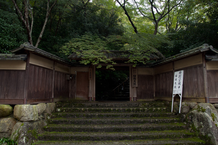 瑠璃光院