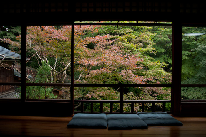初秋の瑠璃光院