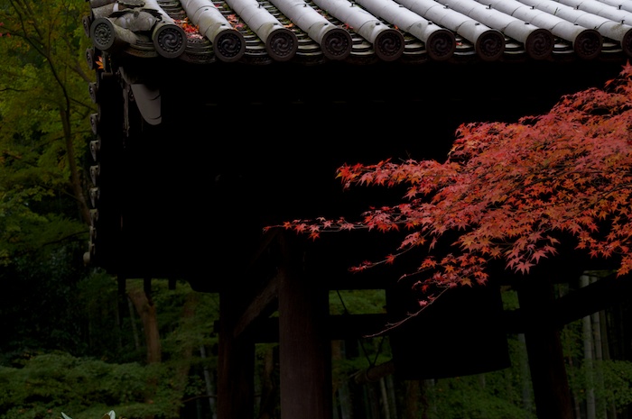 紅葉の圓光寺