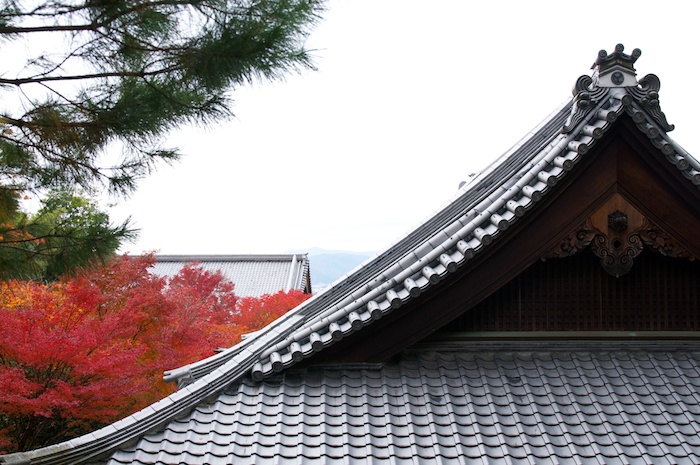 紅葉の圓光寺