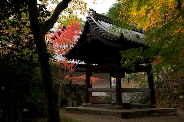 紅葉の圓光寺