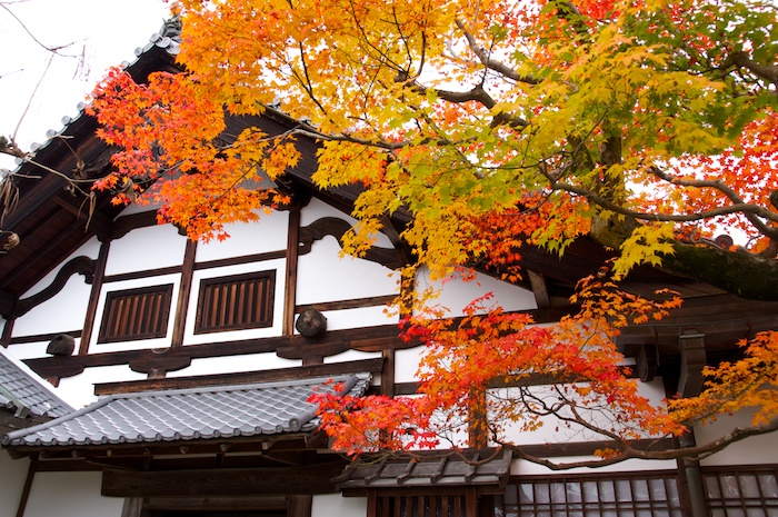 紅葉の圓光寺