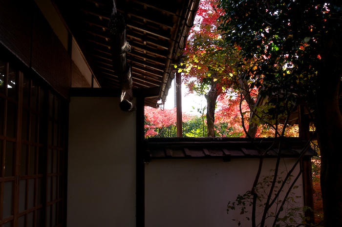 紅葉の金福寺