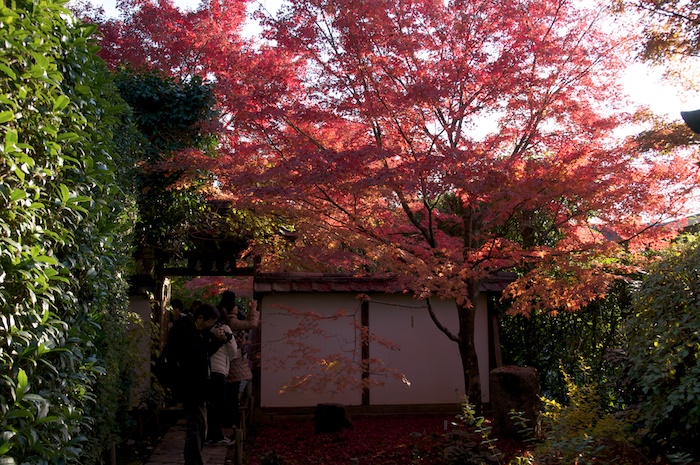 紅葉の金福寺