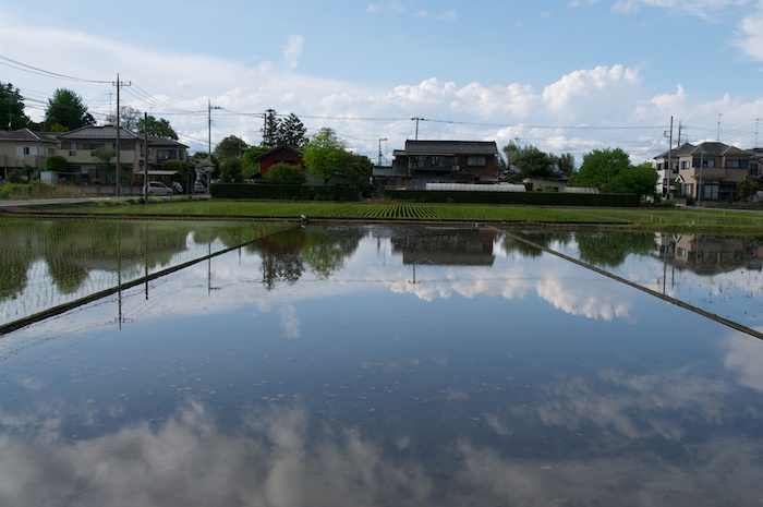 田植えの風景
