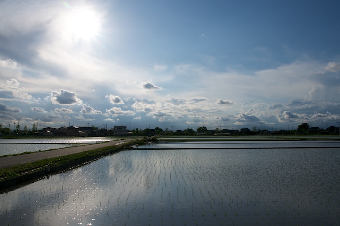 田植えの風景