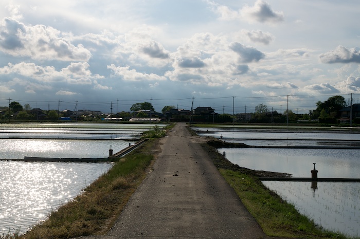 田植えの風景